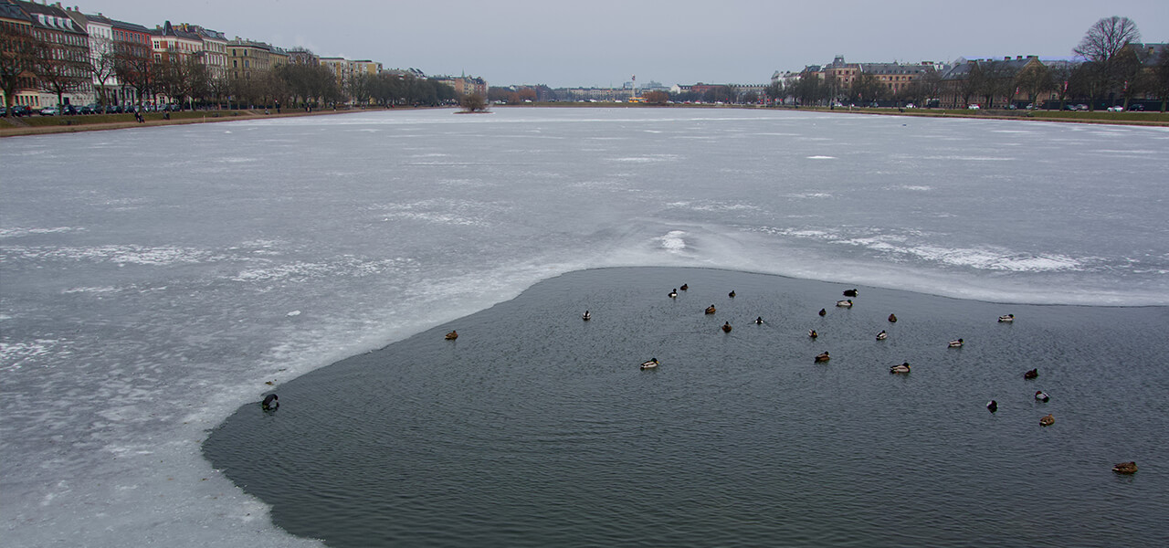 デンマークで過ごすクリスマスシーズン