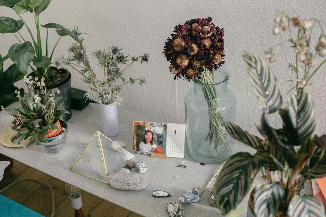 植物のある暮らし