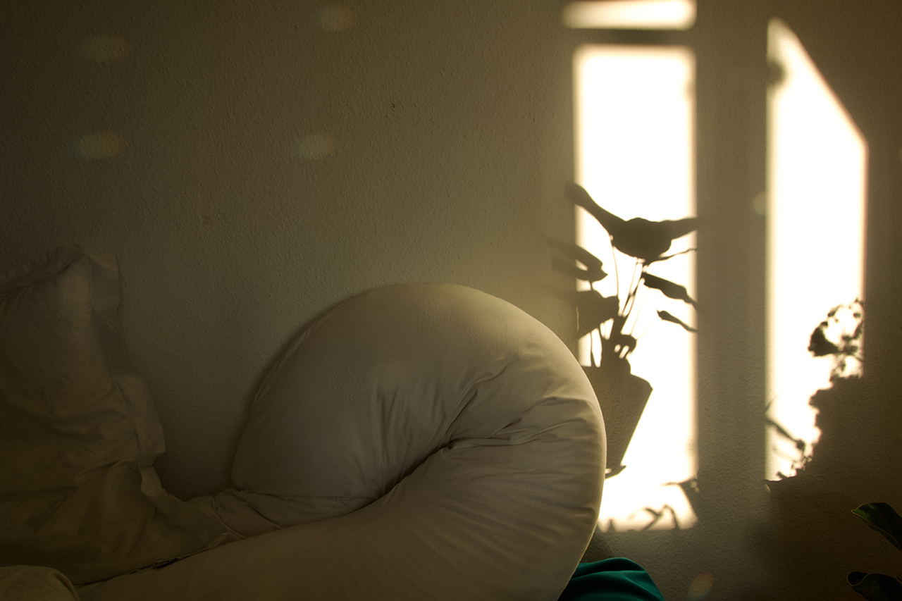 植物のある暮らし