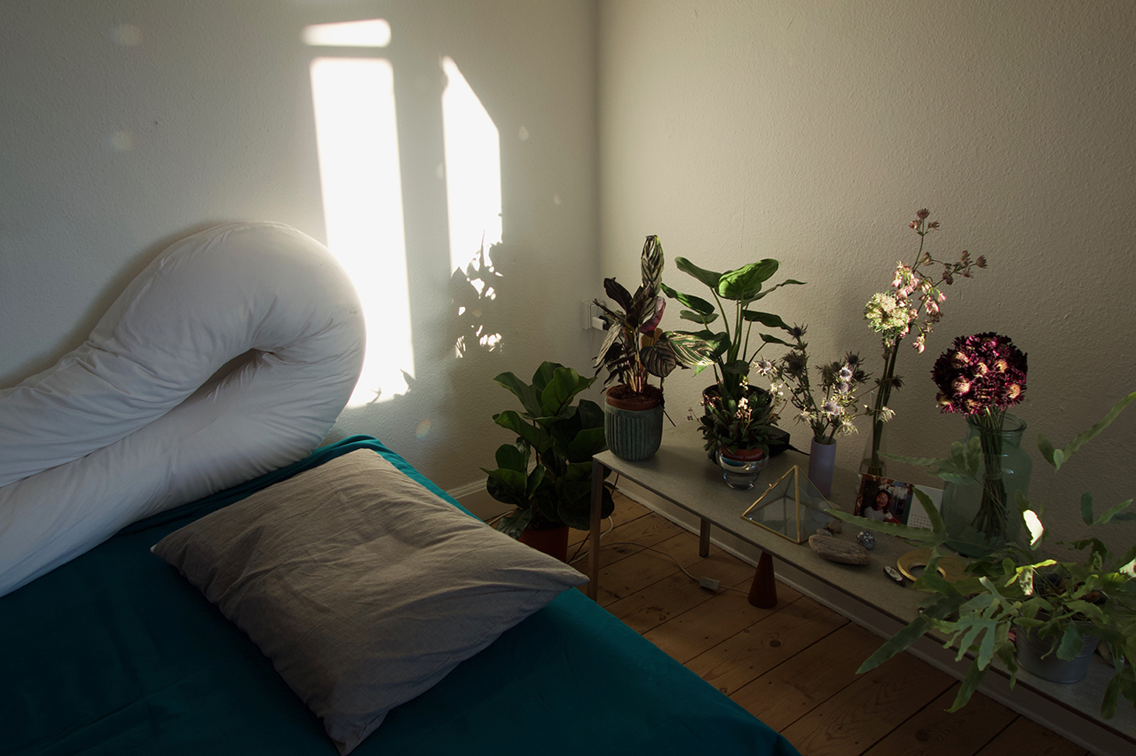 植物のある暮らし