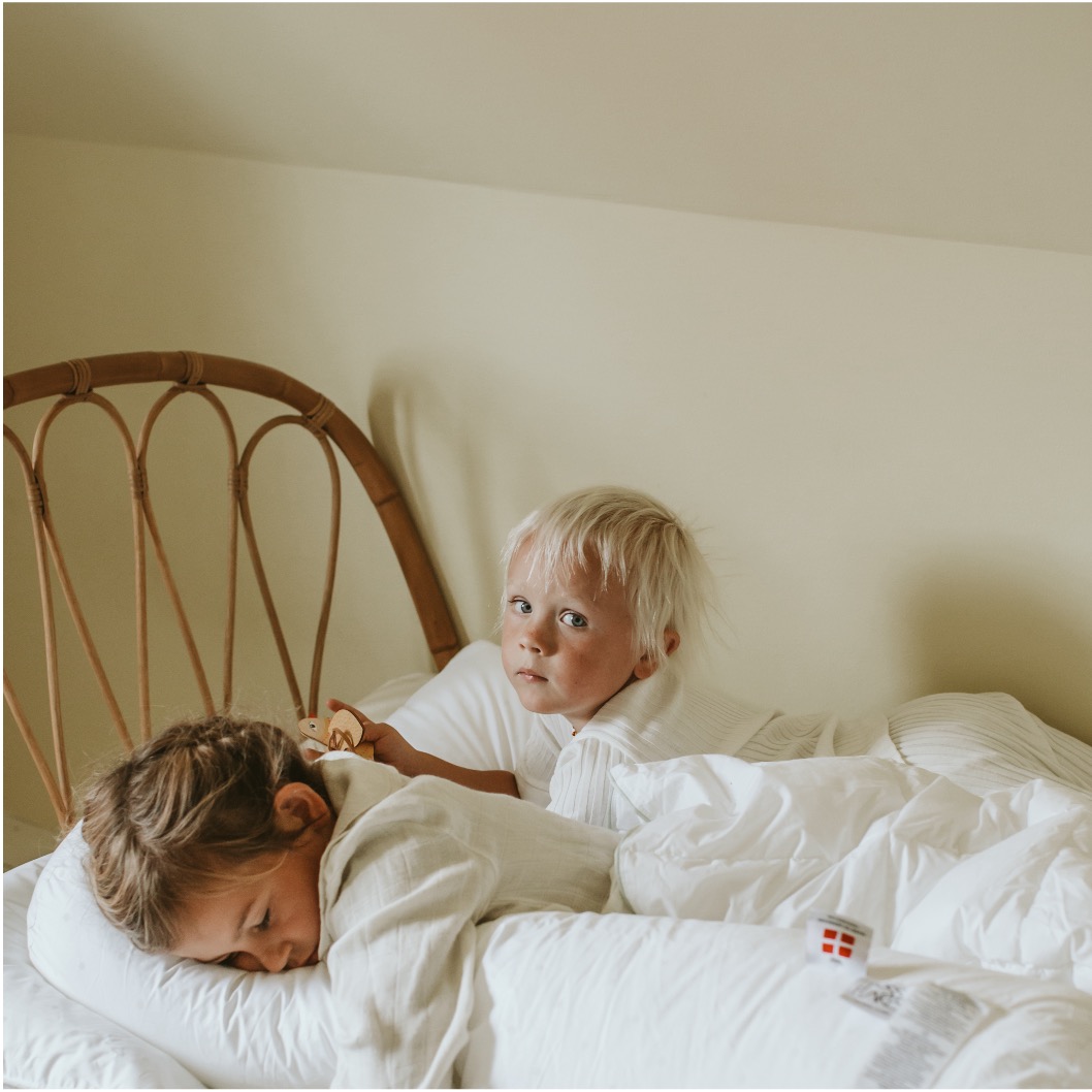 ノルディックスリープ ナーシングピロー カバー付き(授乳サポート枕)